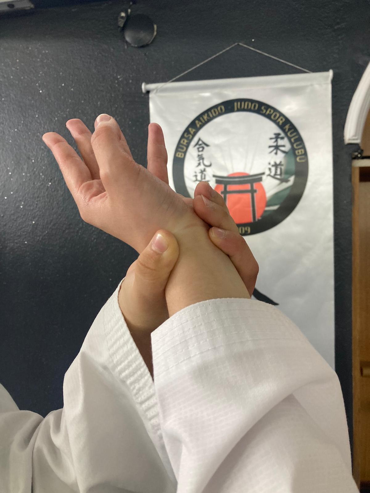 Aikido Training